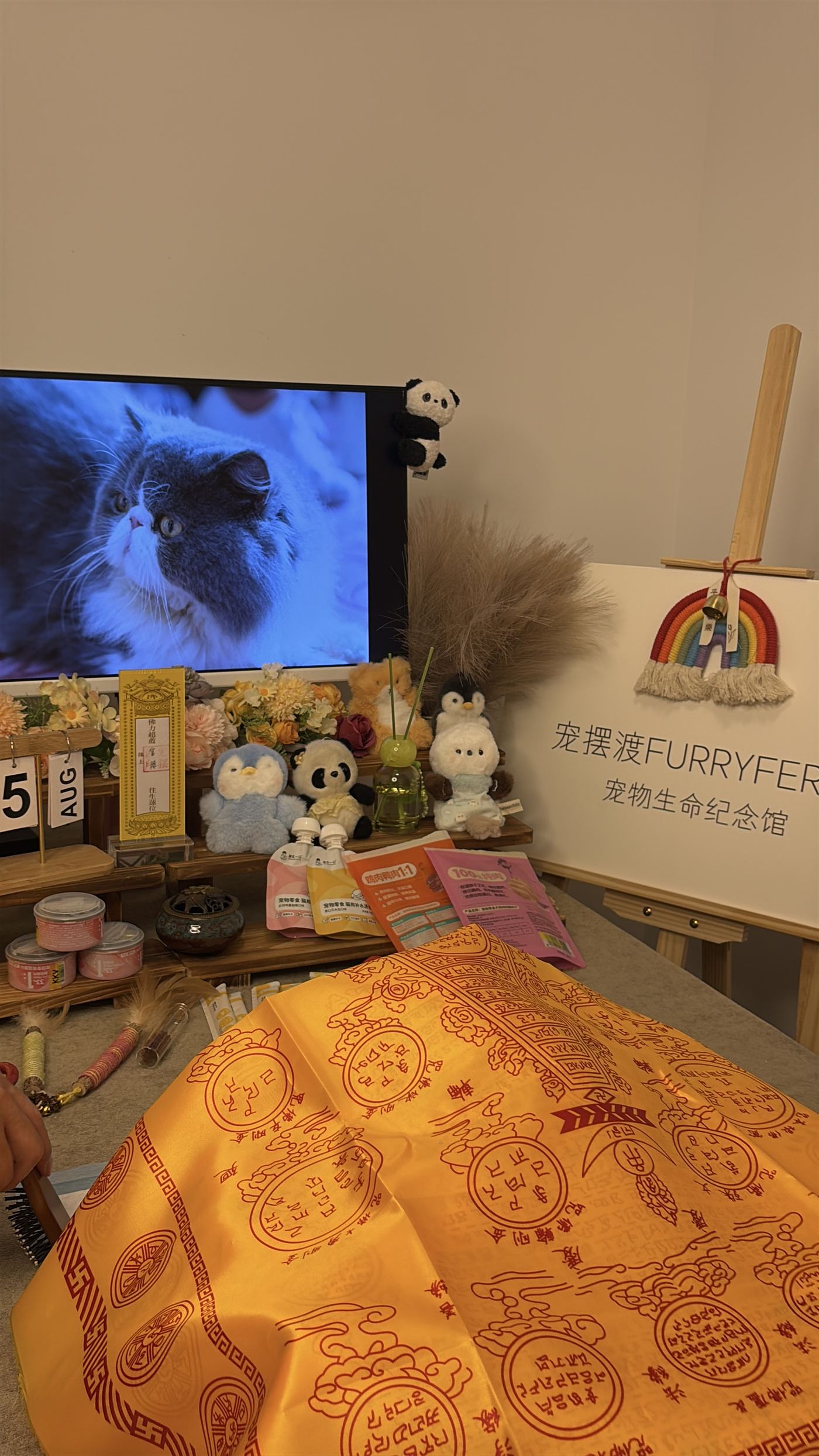 何时该找专业人士