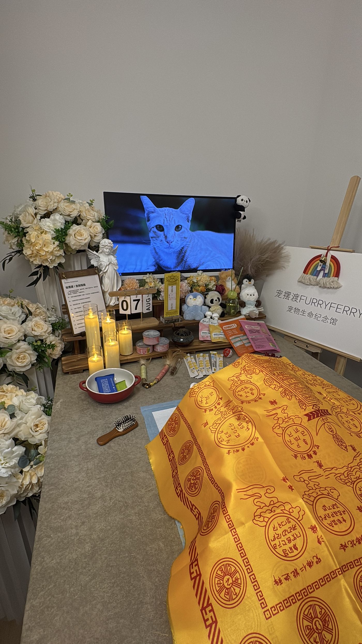 怎么拿到死亡证明