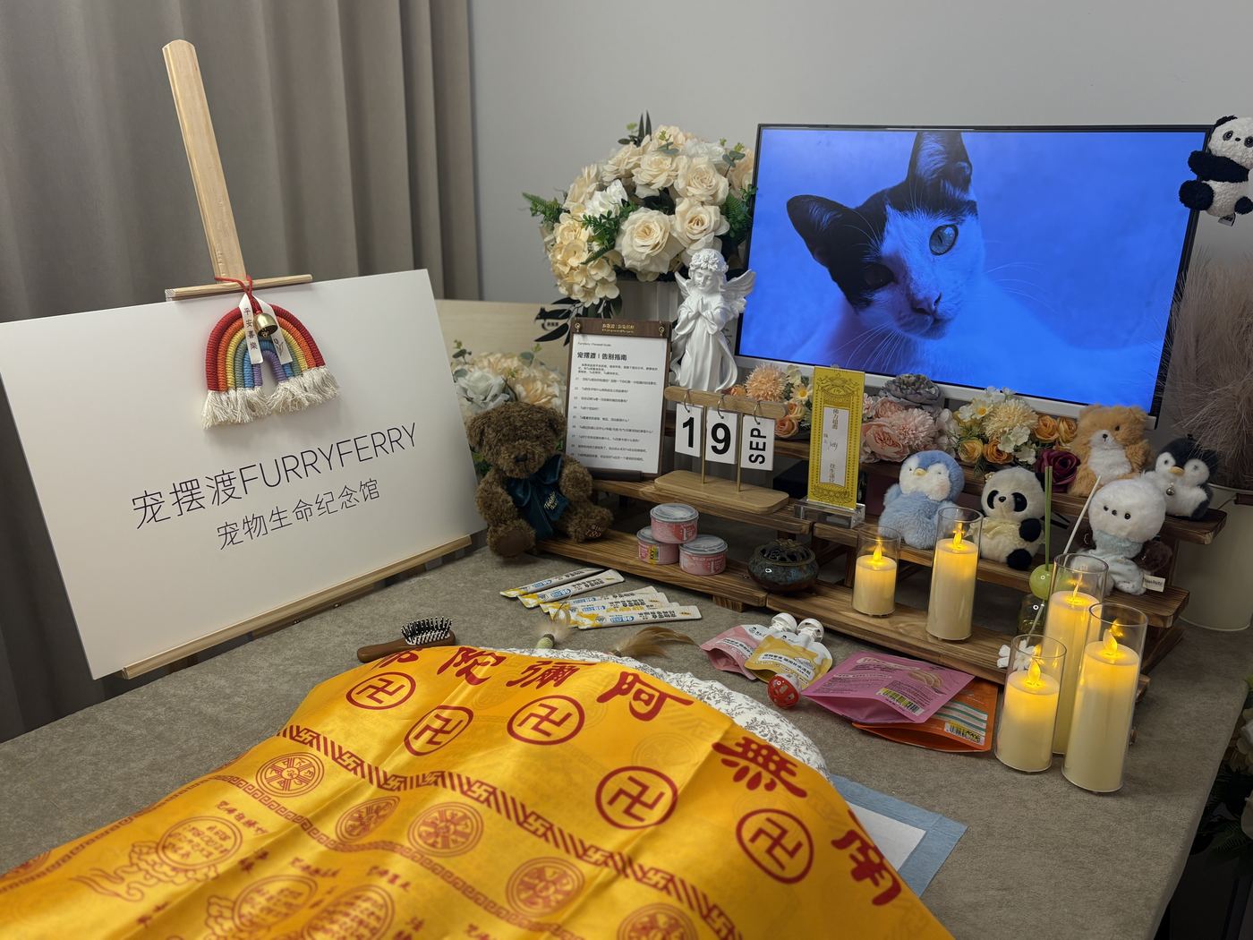 需要提前准备好这些